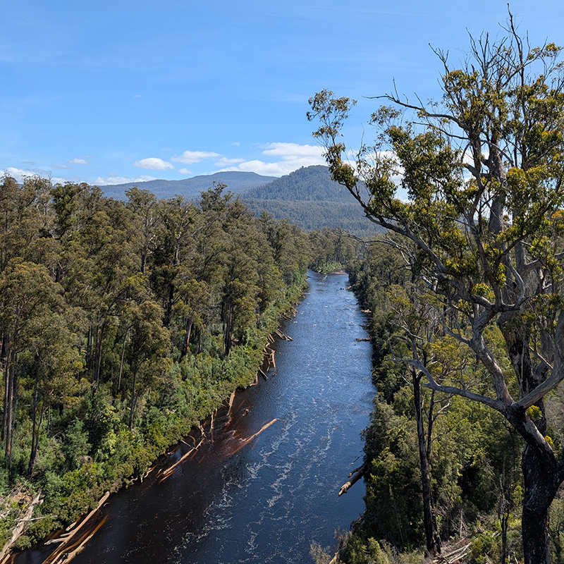 Huon River